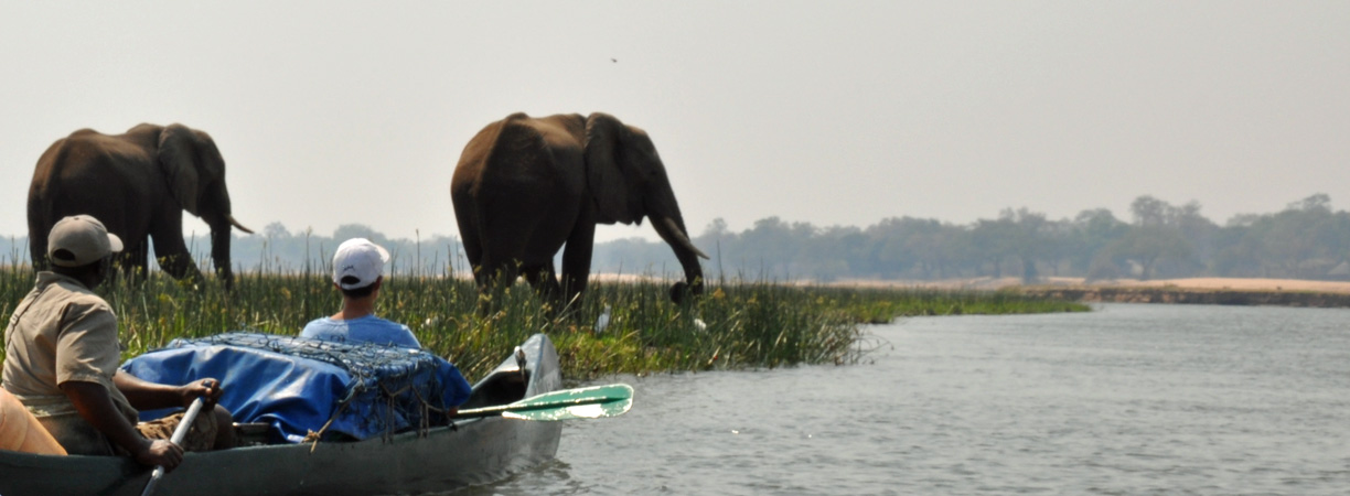 Reisebericht, Sambia, Sambesi, Kanu, Paddeln, Canoeing, Simbabwe, River, Fluss, Natureways, Krokodile, Elefanten, TUI, Reisebüro, Berlin, Safari, Jörg Kästner