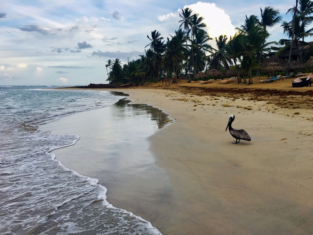 Strand im Zoetry Agua Punta Cana, Dominikanische Republik - World of TUI Berlin Reisebericht