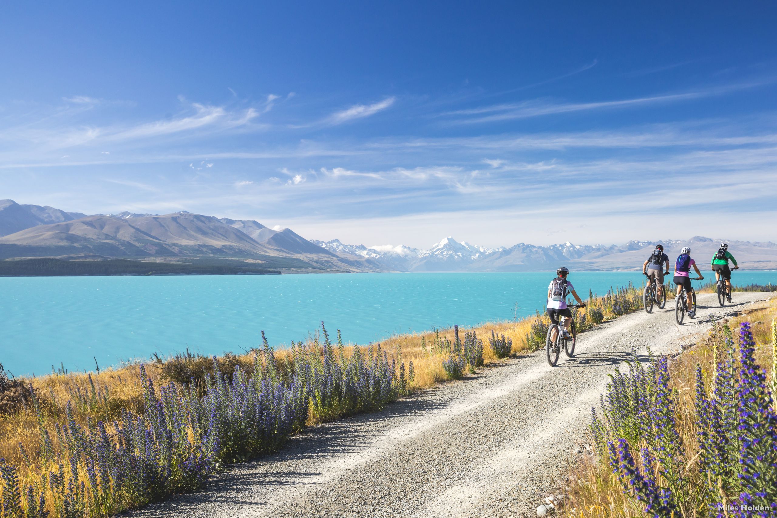 Mehr entdecken: Natur pur in Neuseeland