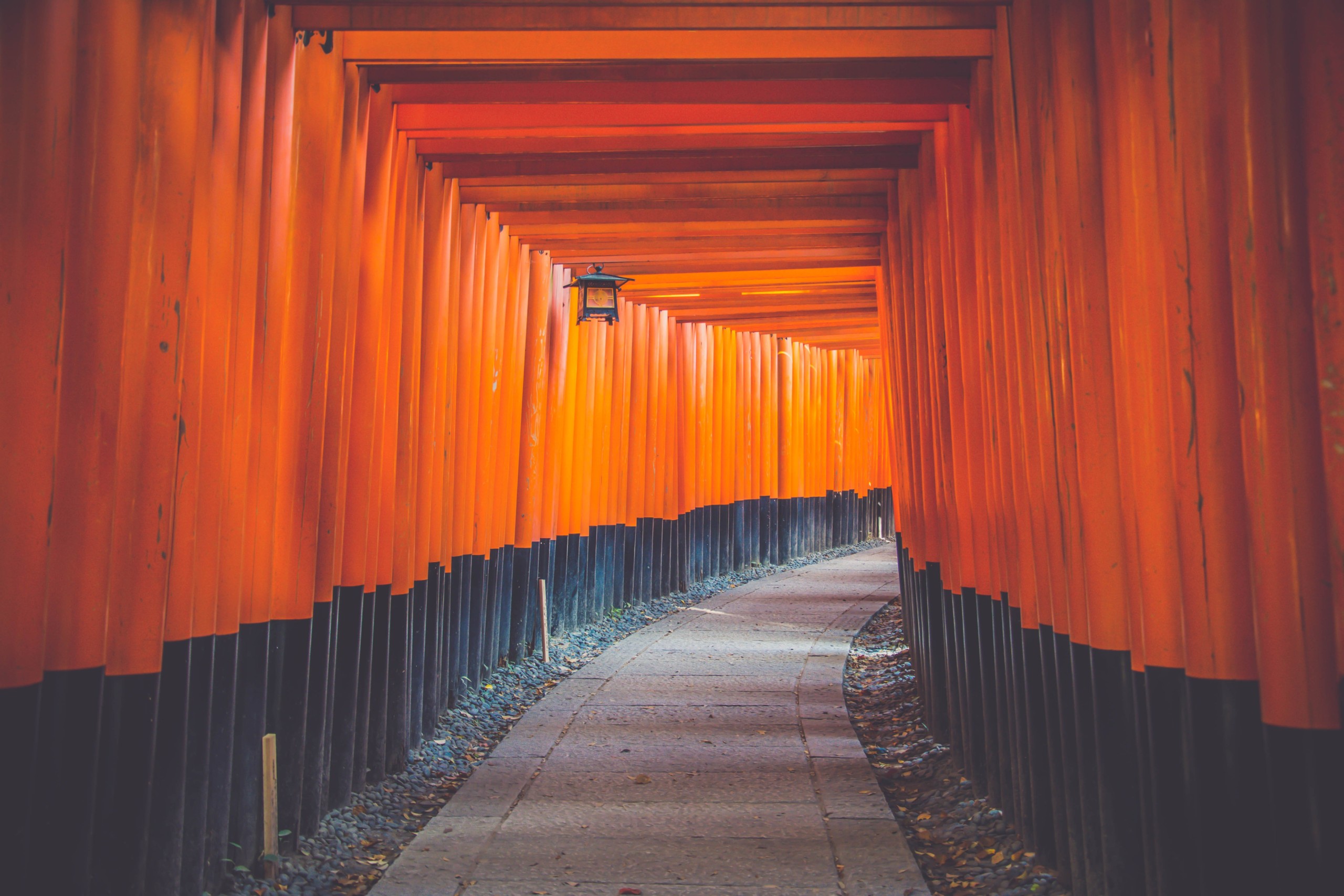 Mehr entdecken: Sushi, Sake und Shinkansen in Japan
