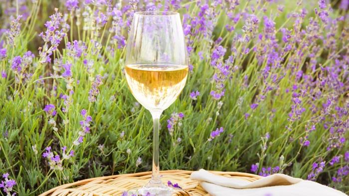 Gourmet Explorer-Touren - Regent Seven Seas Cruises