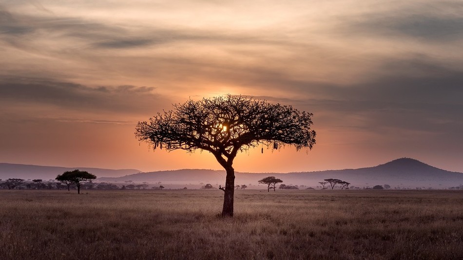 Serengeti in Tansania