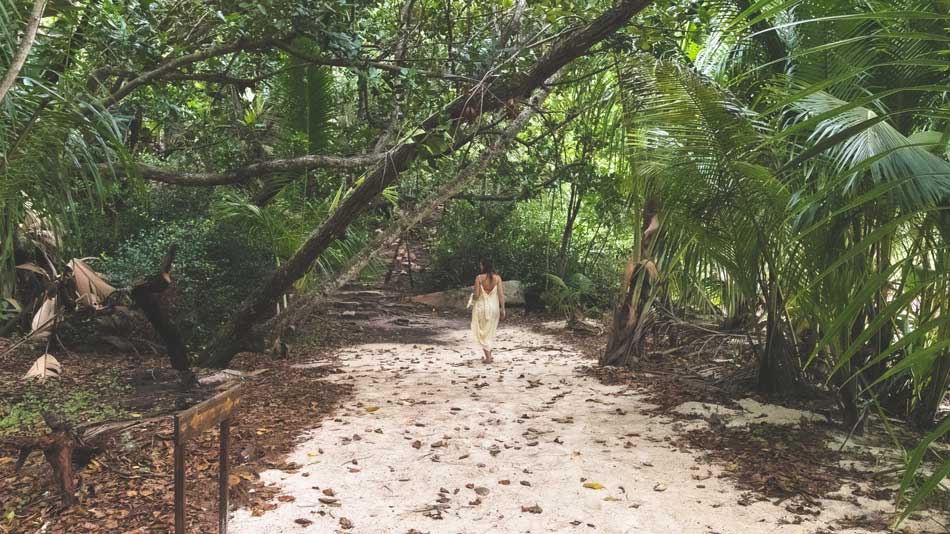 Vallée de Mai auf den Seychellen