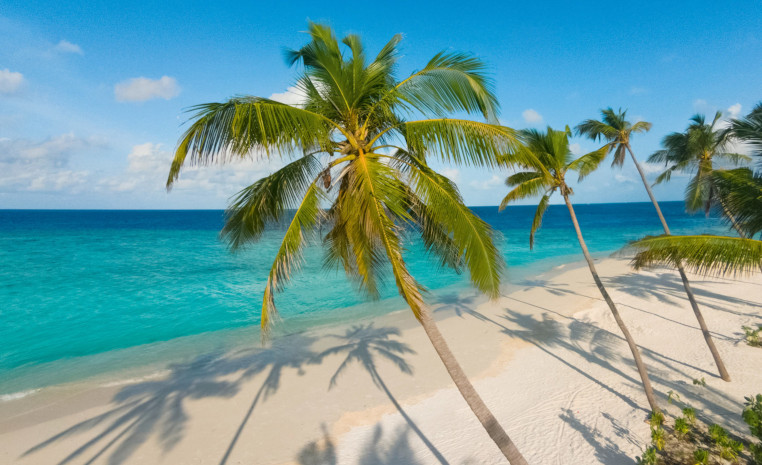 Palmengesäumter Sandstrand im Milaidhoo Maldives